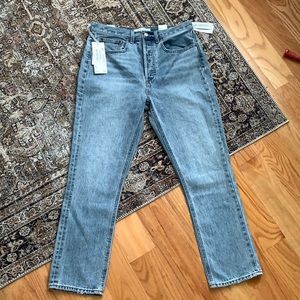 Aritzia Denim Forum jeans